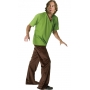 Shaggy Costume - Adult Scooby Doo Costumes